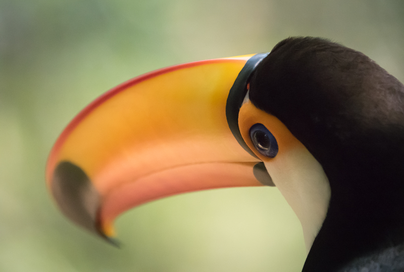 Image: Mark Tatchell/British Ecological Society